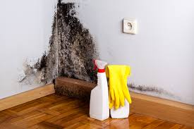 Best Commercial Mold Inspection  in Red Lake, MN